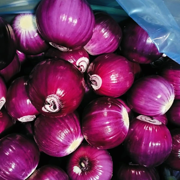 Huaang עיבוד מזון צובר נתח שוק עם איכות יציבה
