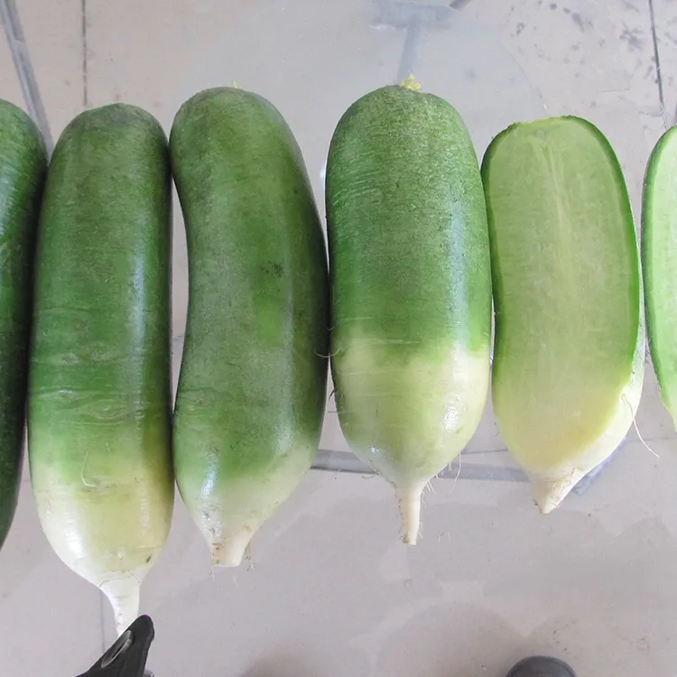 צנון ירוק פריך