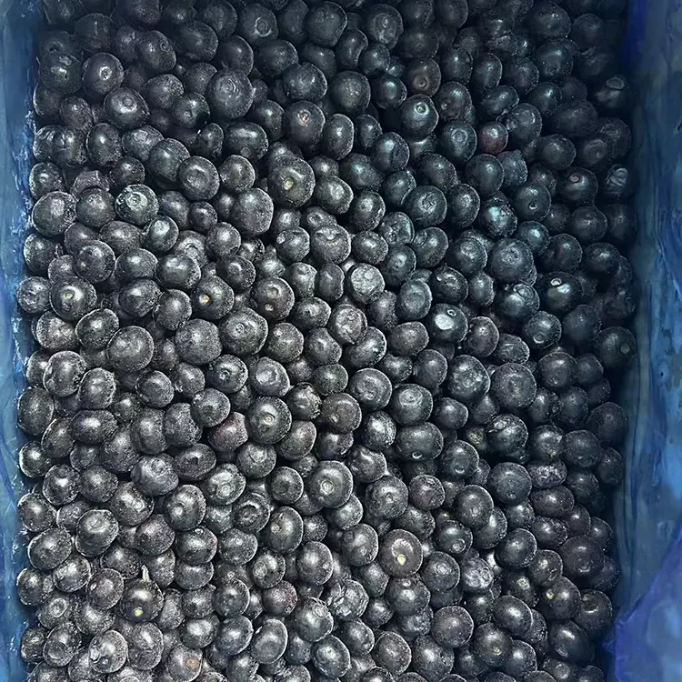 קפוא אוכמניות פרימיום IQF אוכמניות