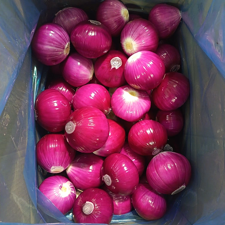 בצל קלוף באיכות גבוהה