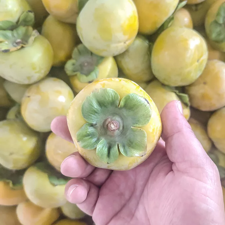 אפרסמון פרימיום טרי פרימיום