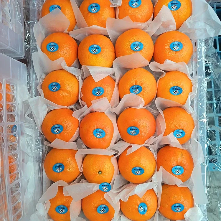 מנדרינות ווגאן מתוקות פרימיום טריות