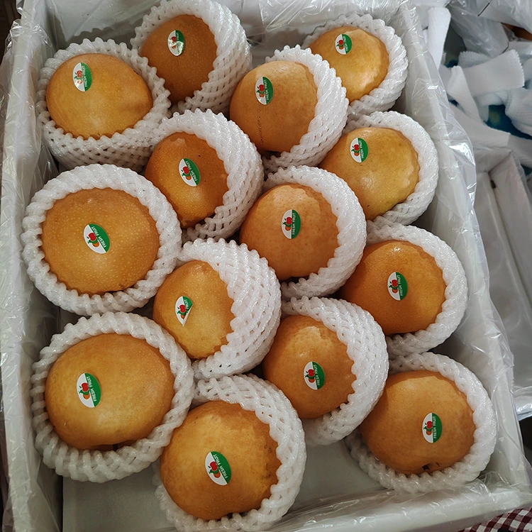פרימיום שינגו אגסי