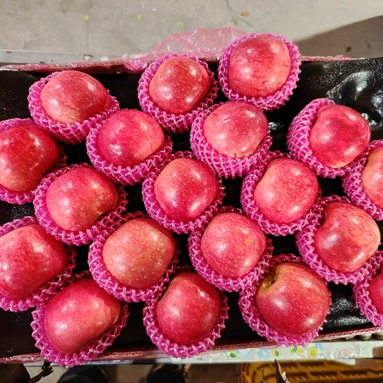 תפוחי ג'יגואן טריים מעולה